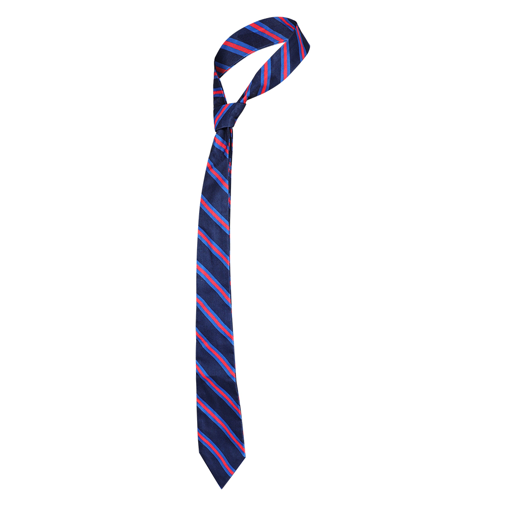 فانتازيا نيك كوسبلاي وايلد راب - مراجعة Men Accessories For Neck وسعره